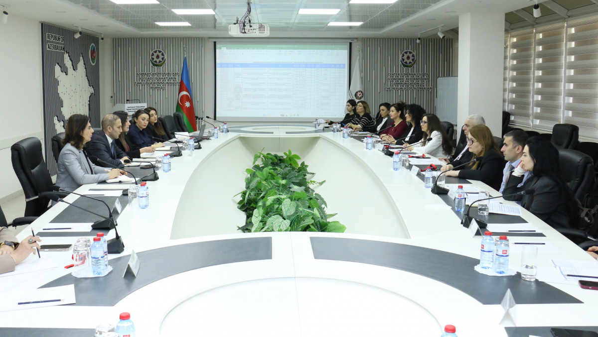 İİTKM-də gender bərabərliyi üzrə Milli Fəaliyyət Planına dair indikativ planlama məsələləri müzakirə olunub